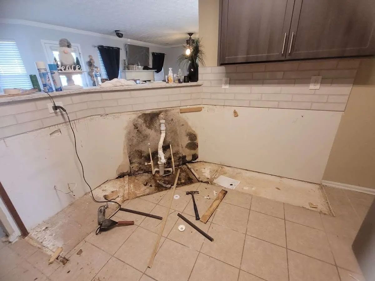 Mold behind wall with plumbing during Flood Damage Cleanup in Thousand Oaks